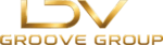 ldvgroove.com